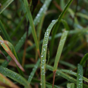 DSC05216