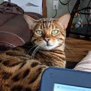 IMG-20190403-171659