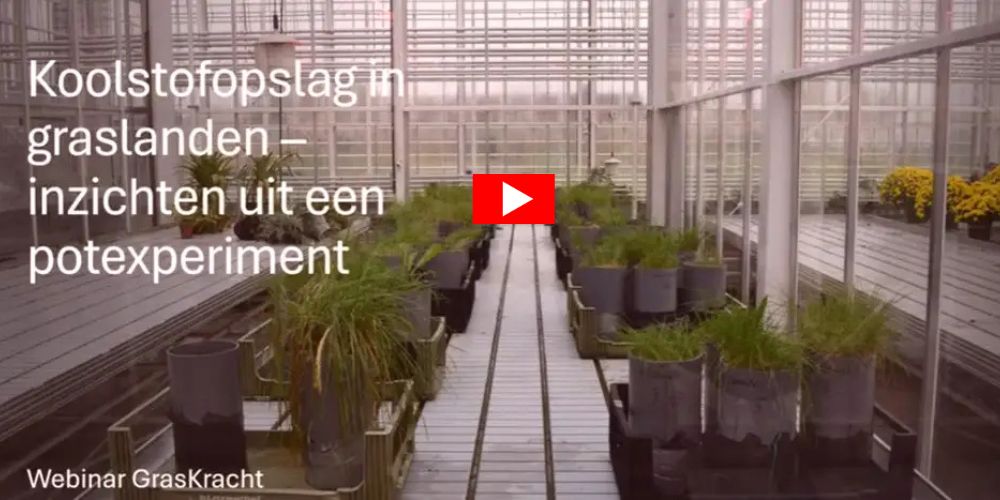 Koolstofopslag in grasland voordelen, methoden en meetmethoden - Vleeskopenbijdeboer.nl