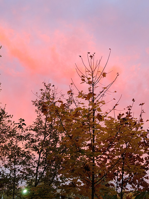 IMG20261002181104.jpg