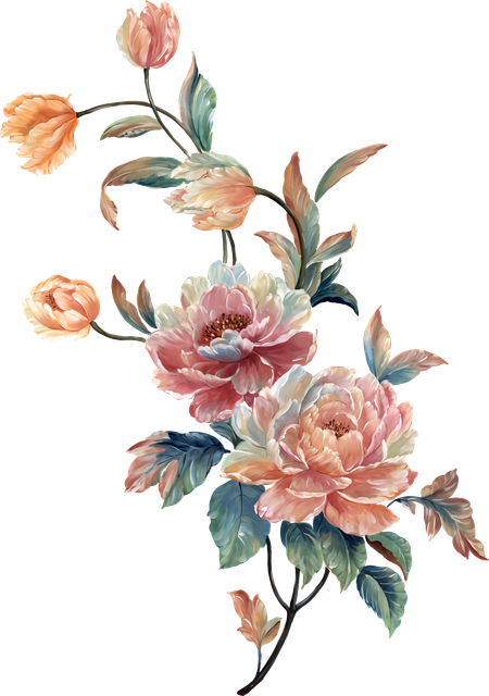 50b55a4ac76b7ef351b93279d87423f8.png