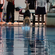 IMG-0078