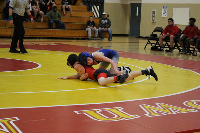 IMG-0223