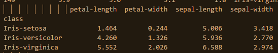 iris pivot table.png