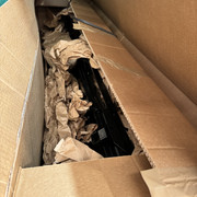 IMG-7313