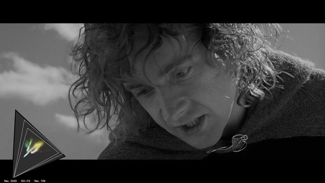 gamut-LOTR30184