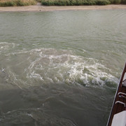DSC-8528