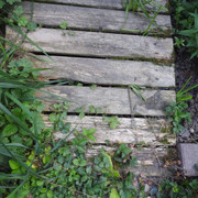 DSCN0428