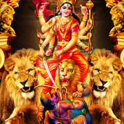 NEW KOVIL THIRUVIZHA FLEX - 5