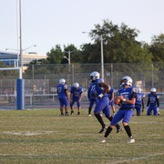 IMG-0187