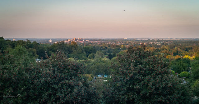 L1013818.jpg