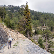 IMG 0780 (2)