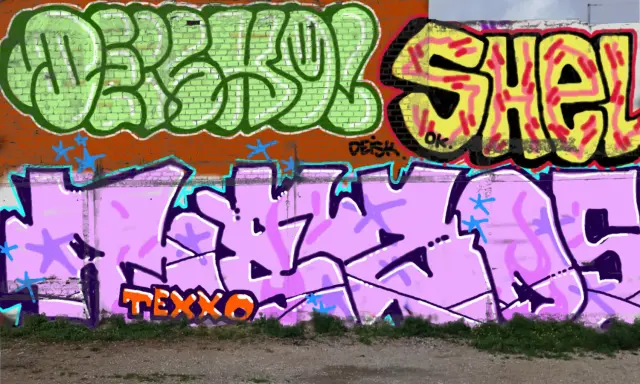 Graffiti artwork by Shel
