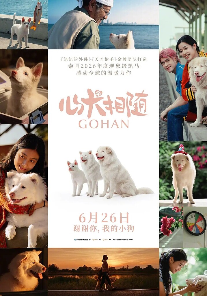心犬相随(2026) 流媒体正式版 中文字幕