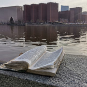 IMG-20240411-071333