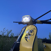 IMG-6049