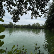 IMG-6002