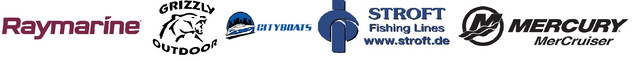 Raymarine