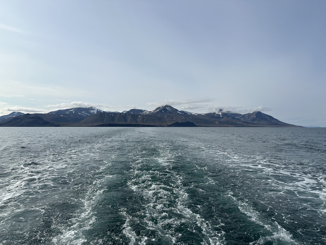 IMG-4779