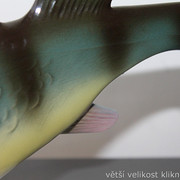 IMG-7885
