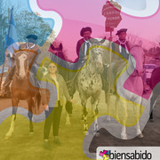 IMG-E5666