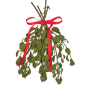 MISTLETOE