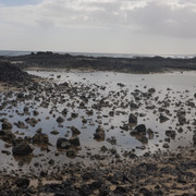 DSCF8674