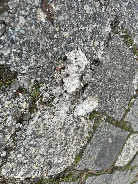 IMG-0173