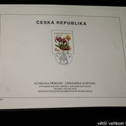 IMG-2138
