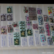 IMG-3742