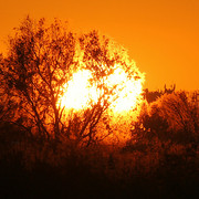 IMG-3622