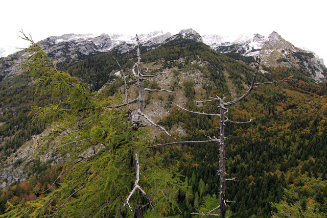 IMG-0245