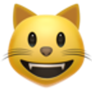 grinning-cat-1f63a