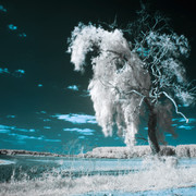 100c0100103m1