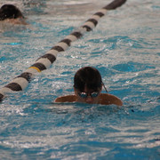 IMG-0335