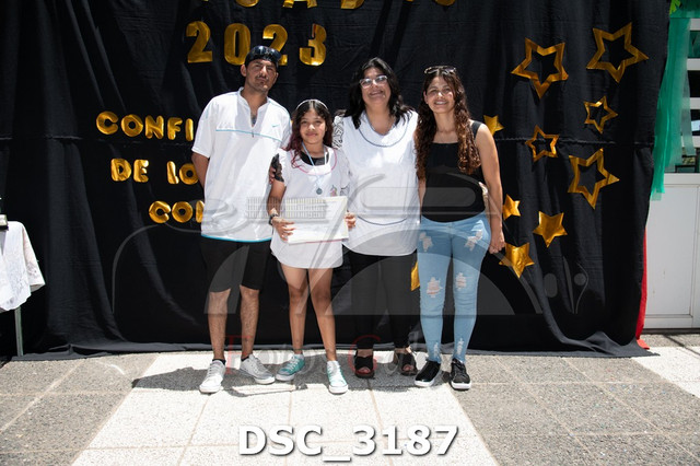DSC-3187