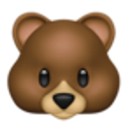 bear-1f43b