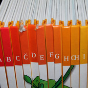 IMG-9281