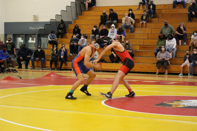 IMG-0239