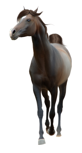 horse-PNG2546-result