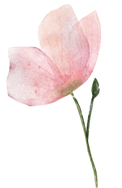 ns-pink-F2