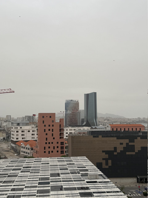 IMG 3656