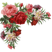 pngegg (9).png