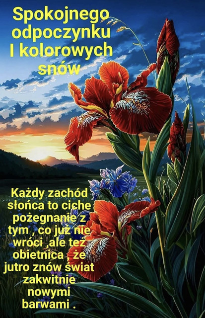 d02177e158b20bc0d7f4c2dbd12ce088