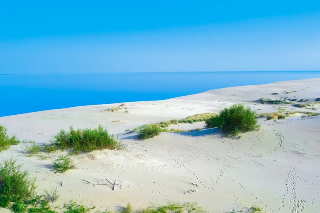 Curonian Spit