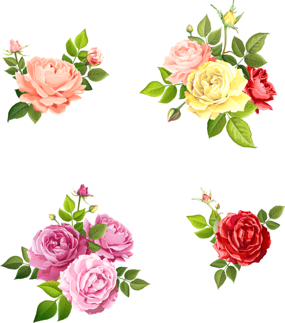 shutterstock 1253172568 Converted.png