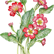 c1a96613b8f409c56db757b5c69e2e75