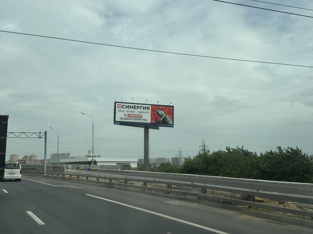 image1.jpg