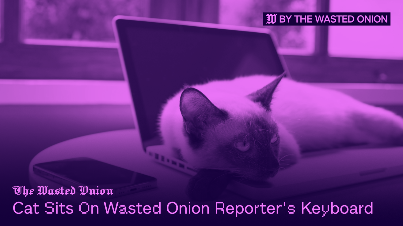 onion.png