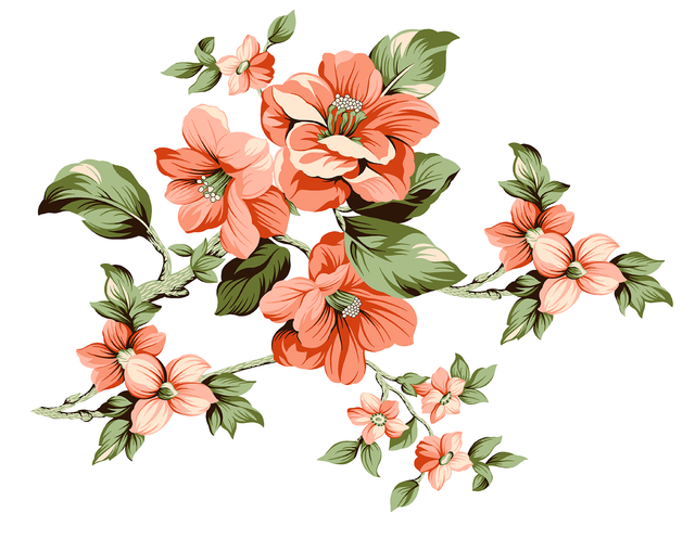 26791ca6113b8afb38469258fecb7c1a.png